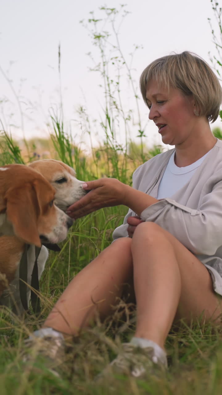은 잔디에서 두 개와 함께 야외에 앉아있는 개 관리자, 다른 개가 뭔가를 는 동안 한 개에게 먹이를 주고, 빛 하늘 아래 야생 꽃으로 둘러싸여 있습니다.