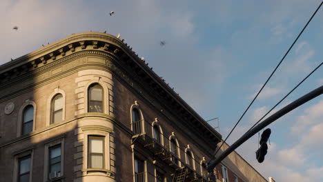 Bandada-De-Palomas-Volando-Desde-La-Azotea-Con-Zapatillas-Arrojadas-Sobre-Un-Poste-En-Primer-Plano-En-La-Ciudad-De-Nueva-York,-U