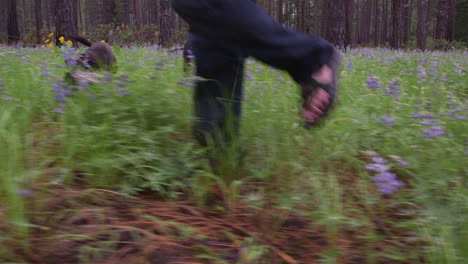 pov tiro desde un nivel bajo de un hombre y su perro caminando por un bosque