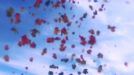 animación de las hojas que caen bucle otoño