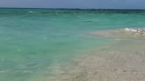 pov ver playa caribeña de la costa solitaria con tronco seco amarillo, pan a la derecha