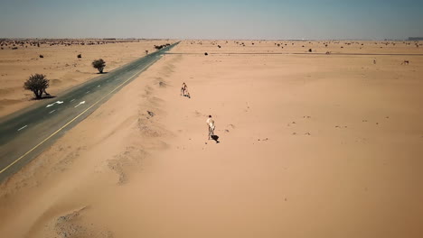 an aerial view of camels in a desert