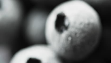 micro video de arándanos con espacio de copia en fondo negro