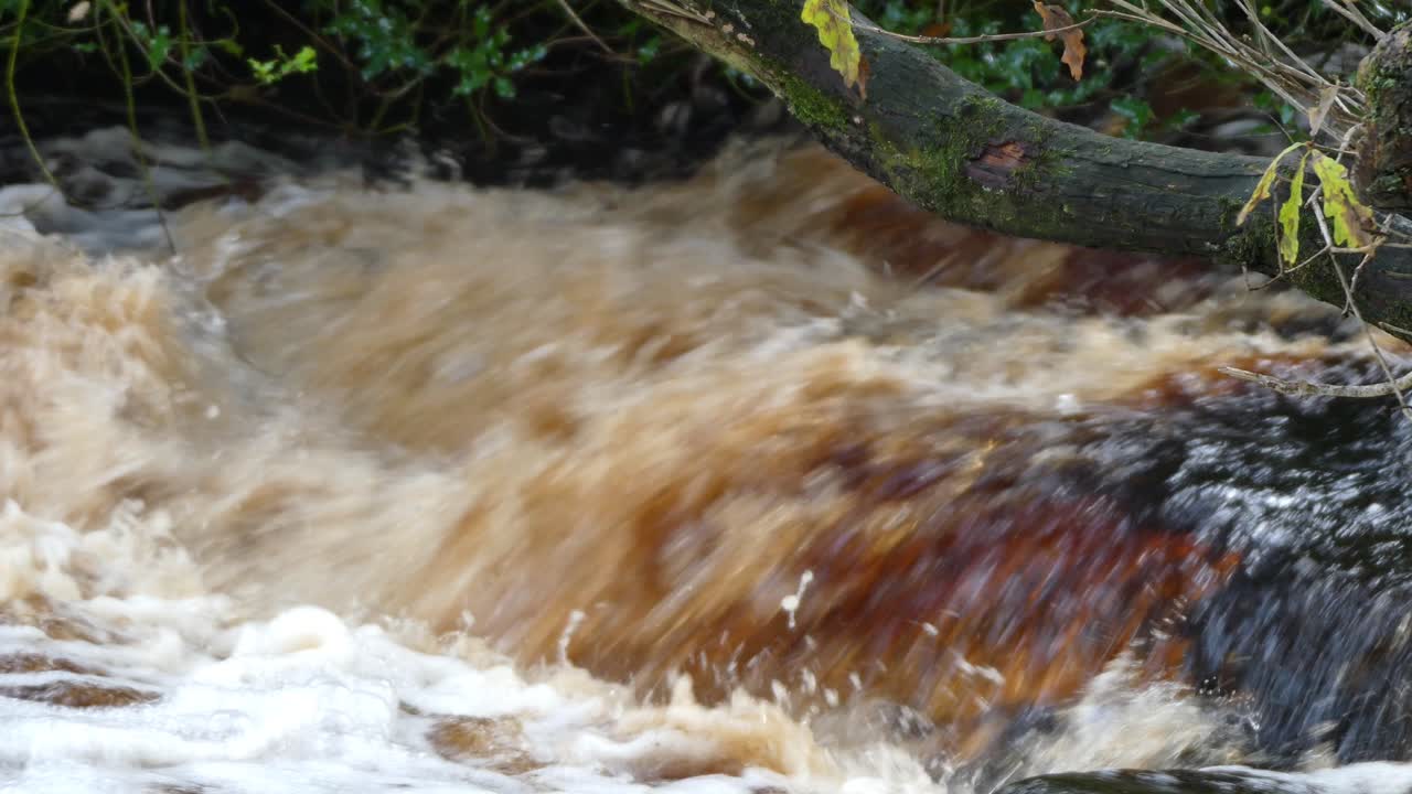 bosques tranquilos de otoño e invierno con un arroyo serpenteante que cae en cascada sobre las rocas, formando pequeñas cascadas