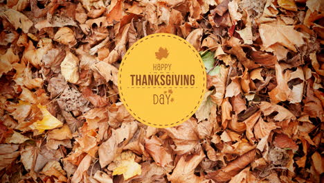 animation of happy thanksgiving day text over autumn leaves