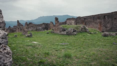 la exuberante vegetación sobre los restos desgastados por el tiempo de pompeya, italia