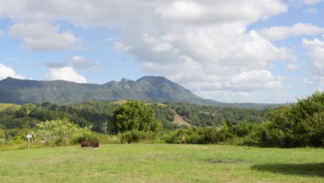 black car moves across a picturesque countryside