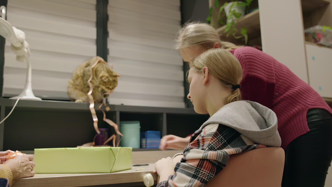 People wrapping a gift with a cat around