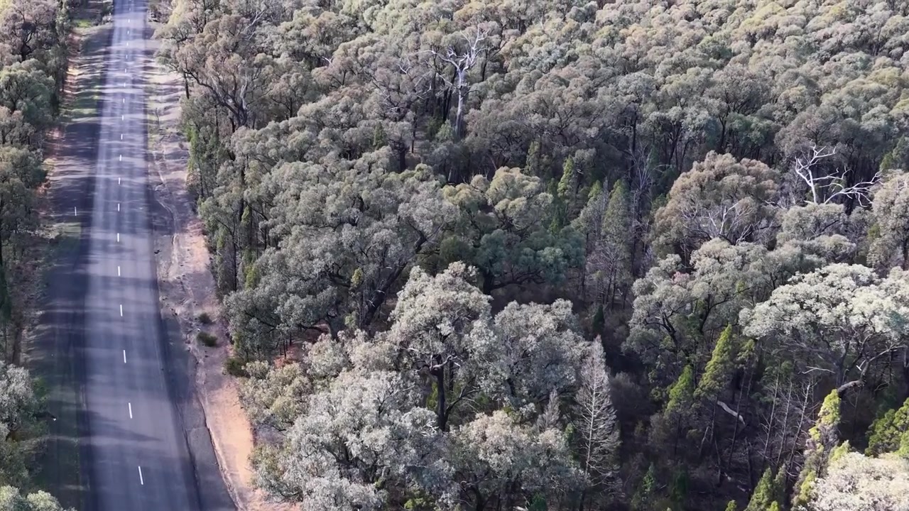 Højvinkel droneoptagelse af en afsides landevej, der snor sig gennem tæt australsk buskland.