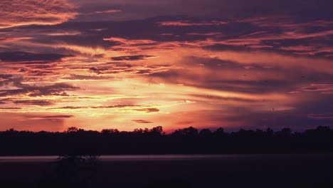 Timelapse-De-Una-Hermosa-Puesta-De-Sol-Roja-Y-Dorada-Púrpura-Sobre-El-Lago