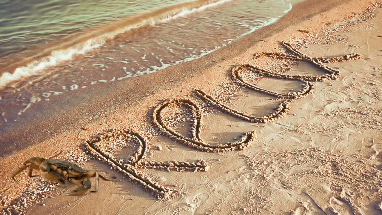 Crab and an inscription on sand, the beach. Inscription relax on sand