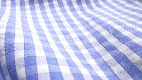 blue and white checkered pattern tablecloth fabric