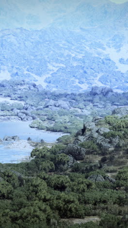 aerial view of a mountain lake with trees and rocks