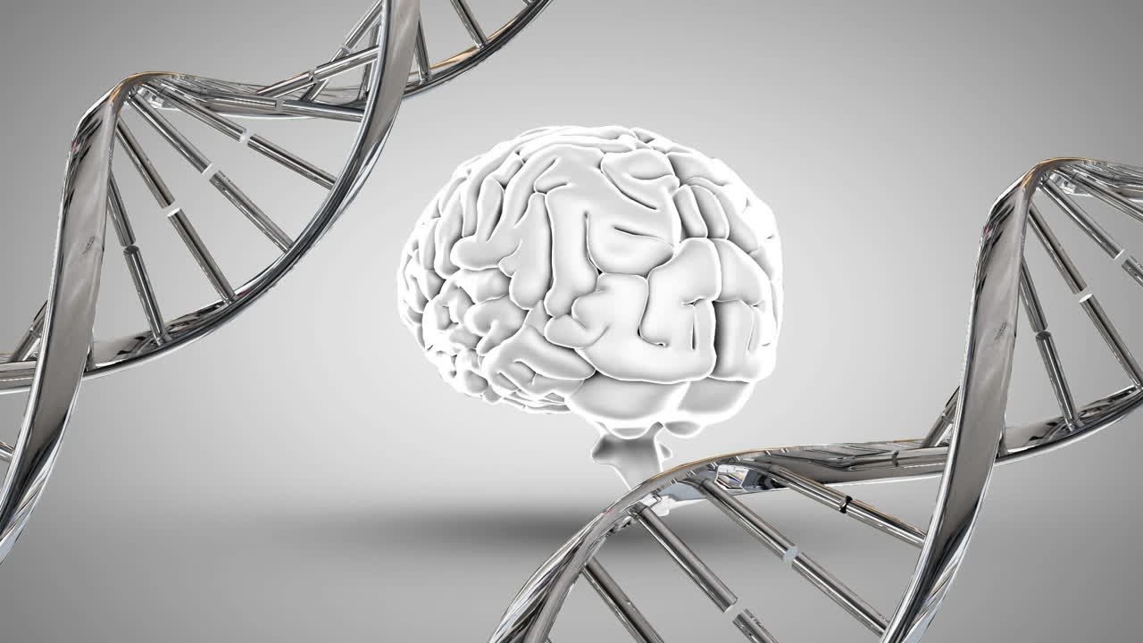 Human brain and DNA