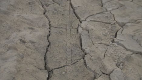 bicycle tire mark in the dirt surrounded by cracks formed by the summer heat