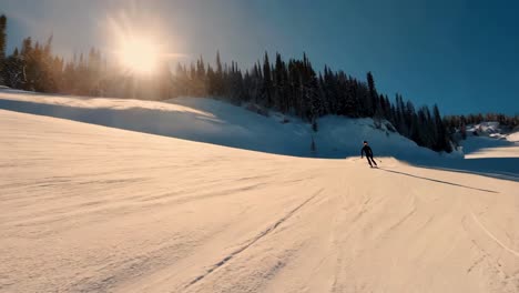 skier on a sunny mountain slope