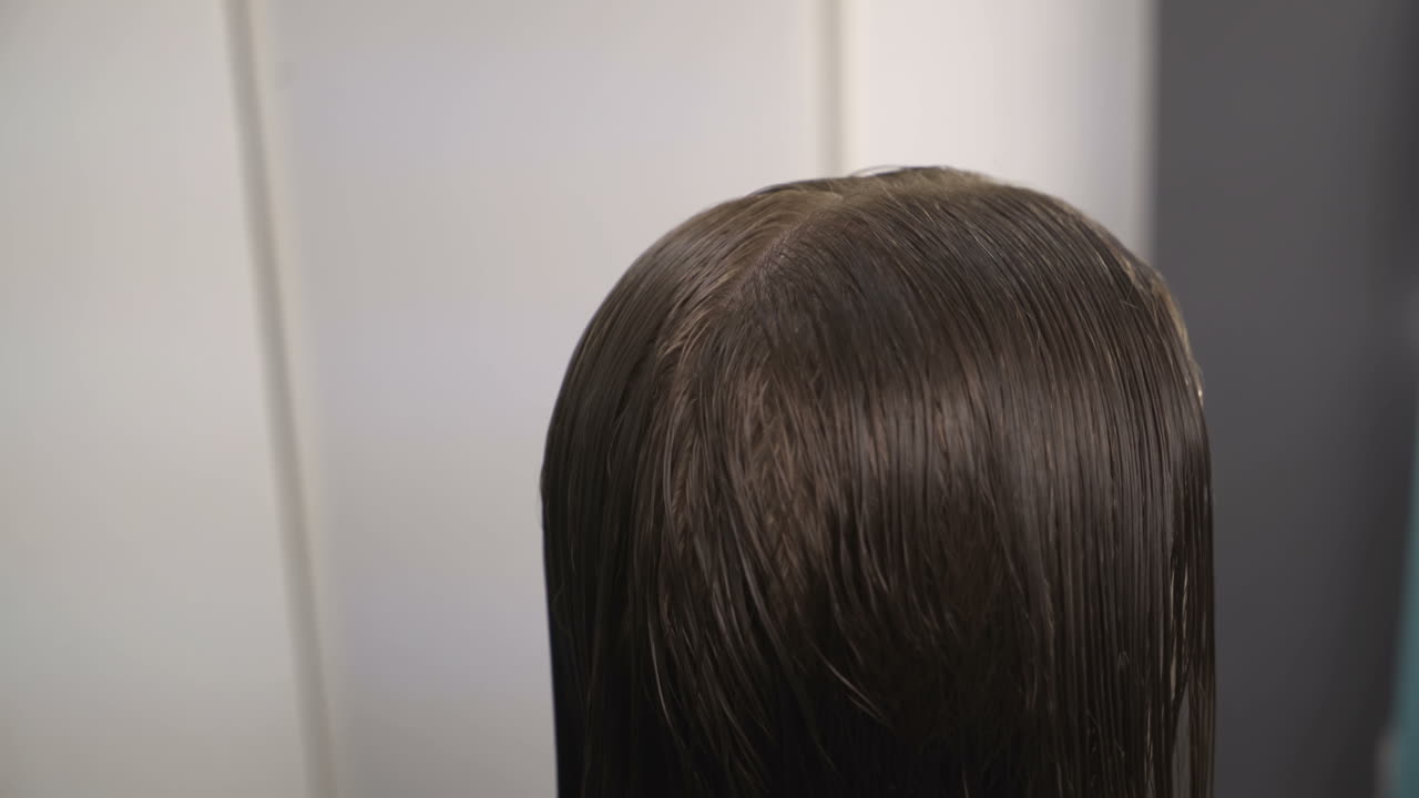 Professional hairdresser cutting hair to female customer at design hair salon