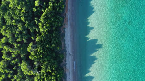 Playa-Idílica-Porquerolles-Arena-Blanca-Courtade-Francia-Toma-Aérea-Superior-Pinos