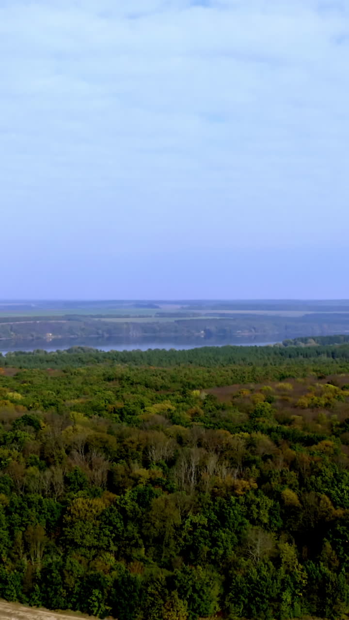 Edge of the forest. Deciduous wood on natural river and fields background. Amazing scenery in the countryside. Peaceful atmosphere of nature. Vertical video