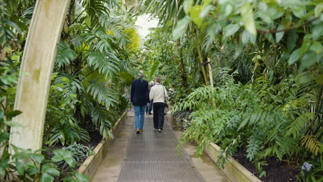 people walking through a lush tropical greenhouse