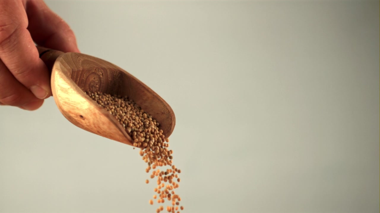 Slow Motion Pouring of Coriander Seeds from Wooden Scoop
