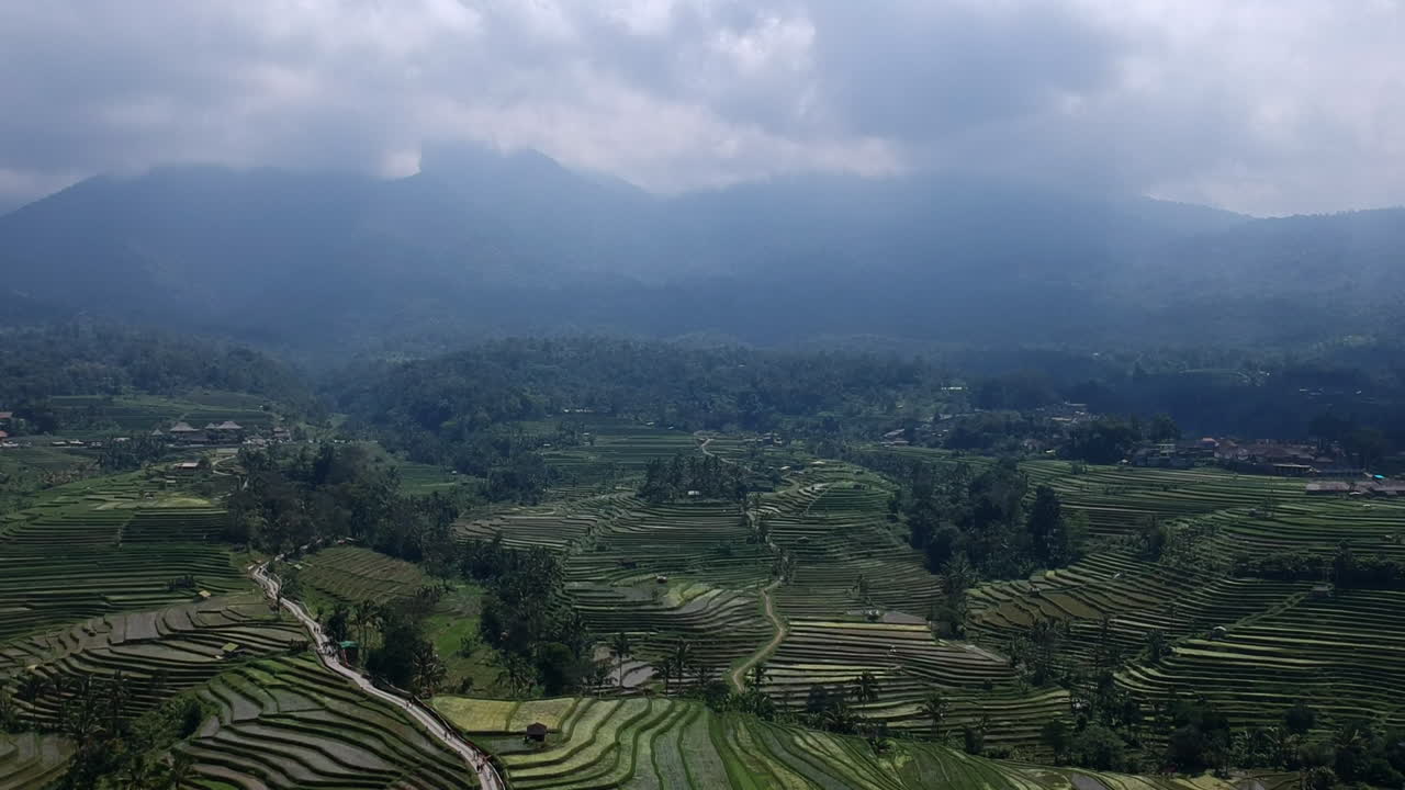 bali campos de arroz riziere indonesia verde por el avión no tripulado