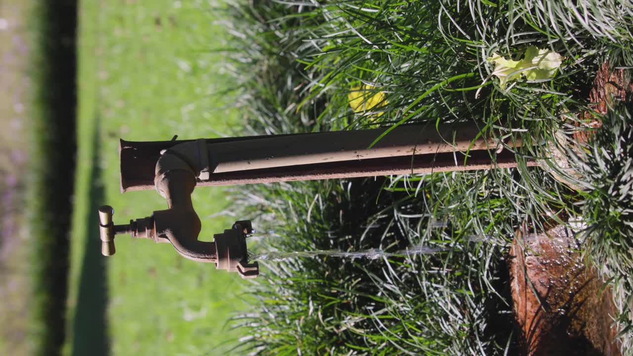 Water pouring dripping from tap faucet outside in garden wasting water, shortage of water, vertical shot