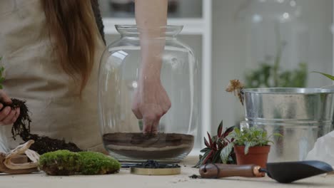 a young woman plants maidenhair in a glass terrarium for creating a tiny live forest ecosystem - close-up