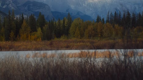 Pond-windy-with-forest-with-tall-grass-in-autumn