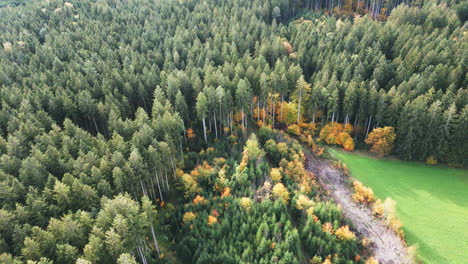 „Tauchen-Sie-Durch-Die-Linse-Unserer-Drohne-In-Die-Faszinierende-Welt-Des-Herbstes-Ein-Und-Entdecken-Sie-Den-Lebendigen-Wandteppich-Und-Den-Friedlichen-Charme-Eines-Waldes,-Der-Von-Der-Schönheit-Der-Herbstsaison-Umgeben-Ist.“