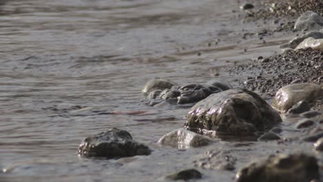 Waves-Splashing-Gently-To-the-Rocks-During-Sunny-Day---Close-Up-Shot