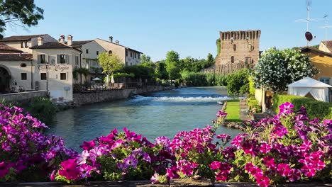 Schwenken-Sie-über-Wunderschöne-Rosa-lila-Blumen-Entlang-Der-Brücke-In-Borghetto-Verona,-Italien