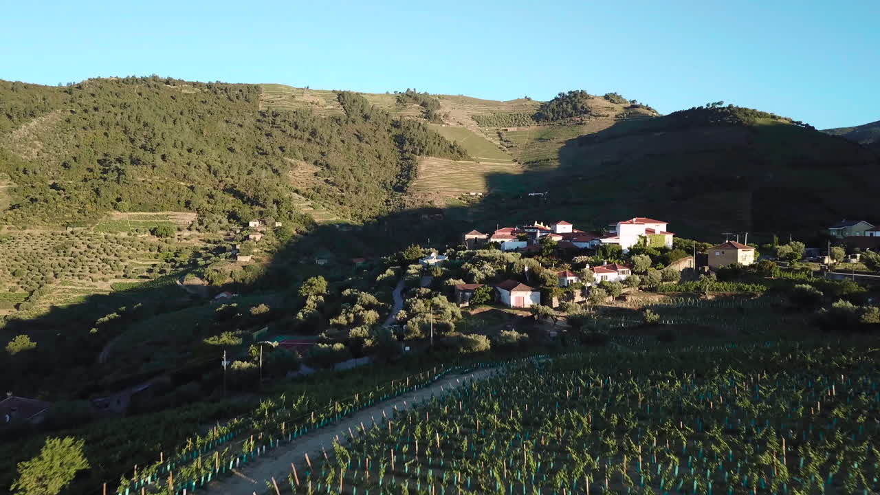 volando rápidamente sobre un viñedo en el valle del duero e inclinándose hacia arriba para ver un complejo señorial portugués en una ladera