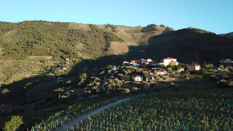 Volando-Rápidamente-Sobre-Un-Viñedo-En-El-Valle-Del-Duero-E-Inclinándose-Hacia-Arriba-Para-Ver-Un-Complejo-Señorial-Portugués-En-Una-Ladera