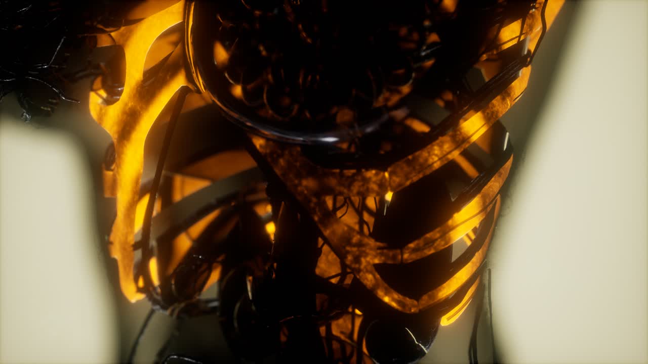 los huesos del esqueleto humano escanean brillando