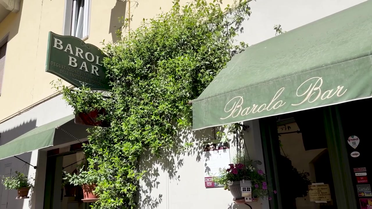 緑のひさしと豊かなつる植物がある魅力的な店先を捉えた静止画。