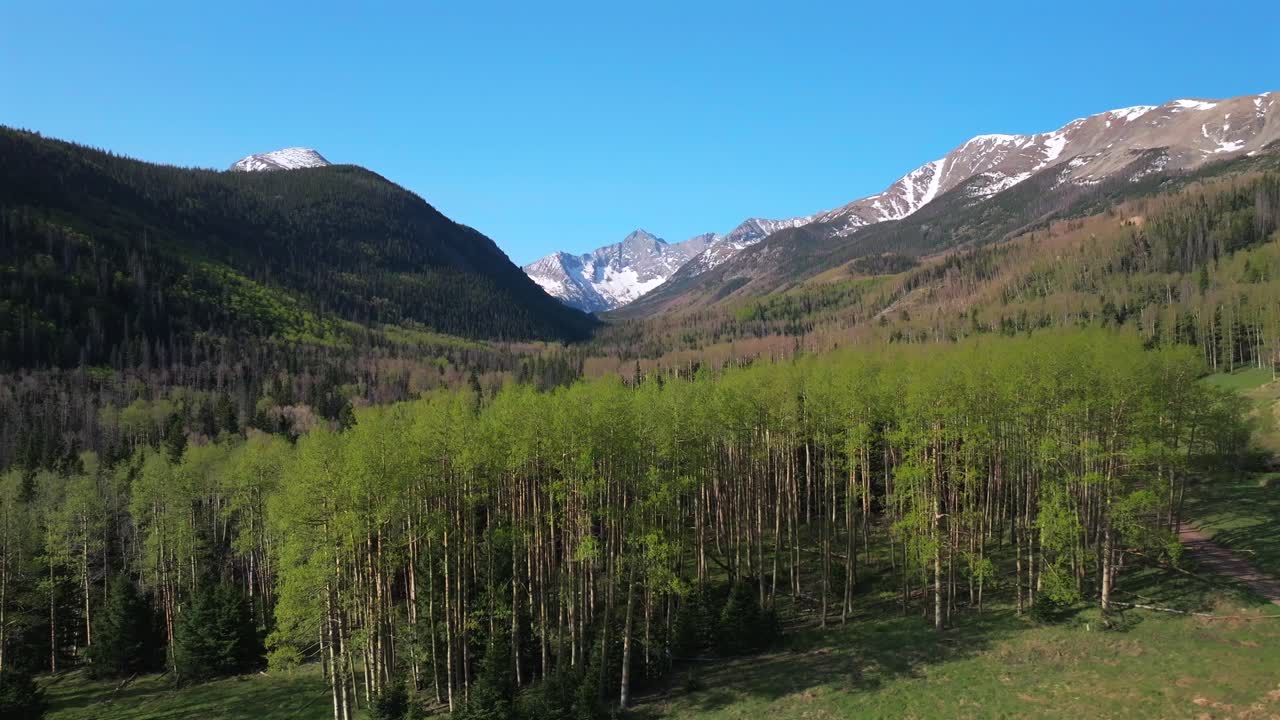 Aspen Trees Forest Huerfano River Valley Ranch Blanca Peak Mt Mount Lindsey Lily Lake trailhead spring summer Sangre de Cristo Range Colorado aerial drone Rocky Mountains upwards motion