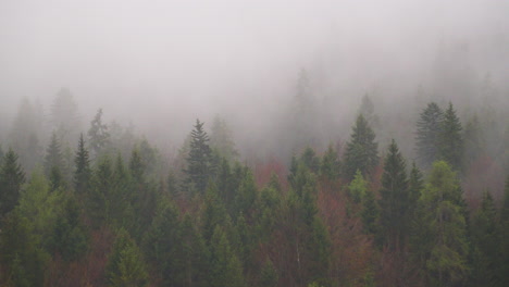 dreamy colourful ethereal lake eisbee alpine woodland foliage in bavaria