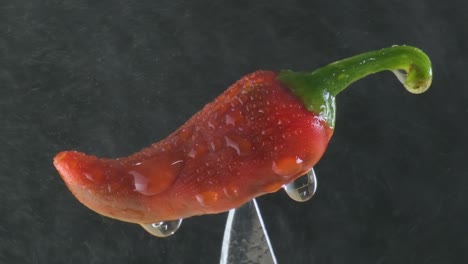 Würzige-Rote-Chilischote,-Mit-Wassertropfen-Und-Nebel-Auf-Schwarzem-Hintergrund