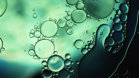 abstract colorful food oil drops bubbles and spheres flowing