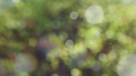 Abstract spring background with bokeh