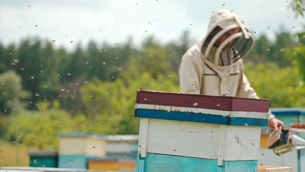 Angry bees swarming in the apiary. Beekeeper in protective clothes and hat with instruments in hands comes to the hive. Blurred backdrop.