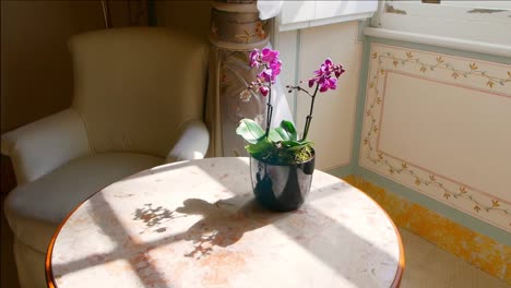 un jarrón con una flor púrpura en una mesa junto a una ventana