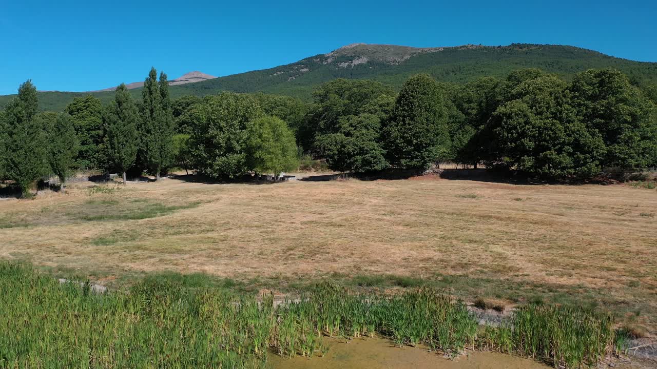 vuelo inverso en un prado en verano con un primer plano de álamos y castaños descubriendo un estanque de agua con plantas acuáticas y un fondo de un hermoso bigote con un cielo azul