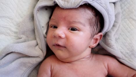 newborn baby girl.