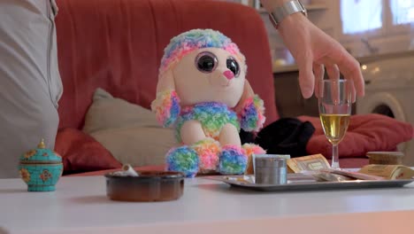 rainbow poodle plush toy on a coffee table with champagne and other items