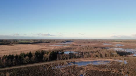 vista aérea de un paisaje de invierno con pantanos y lagos