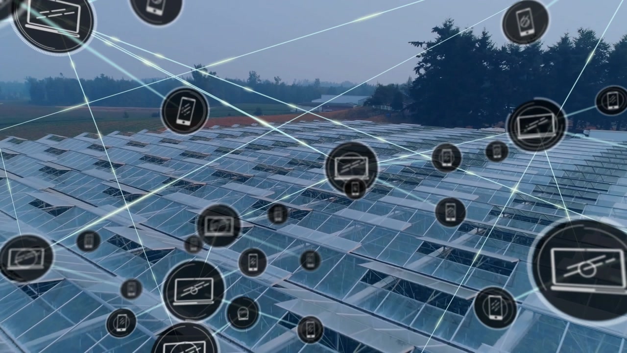Single icon appearing, nodes expanding and connecting over greenhouse roofs, showing sensor network