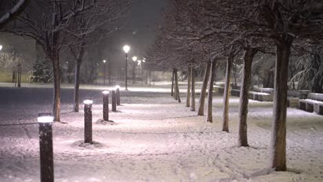 Handheld-static-shot-of-snow-falling-on-well-lit-path-of-lights-and-snowy-trees