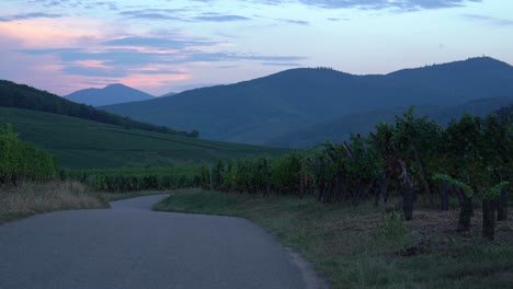 Blue-Hour-Sets-in-Riquewihr-Village-Outskirts